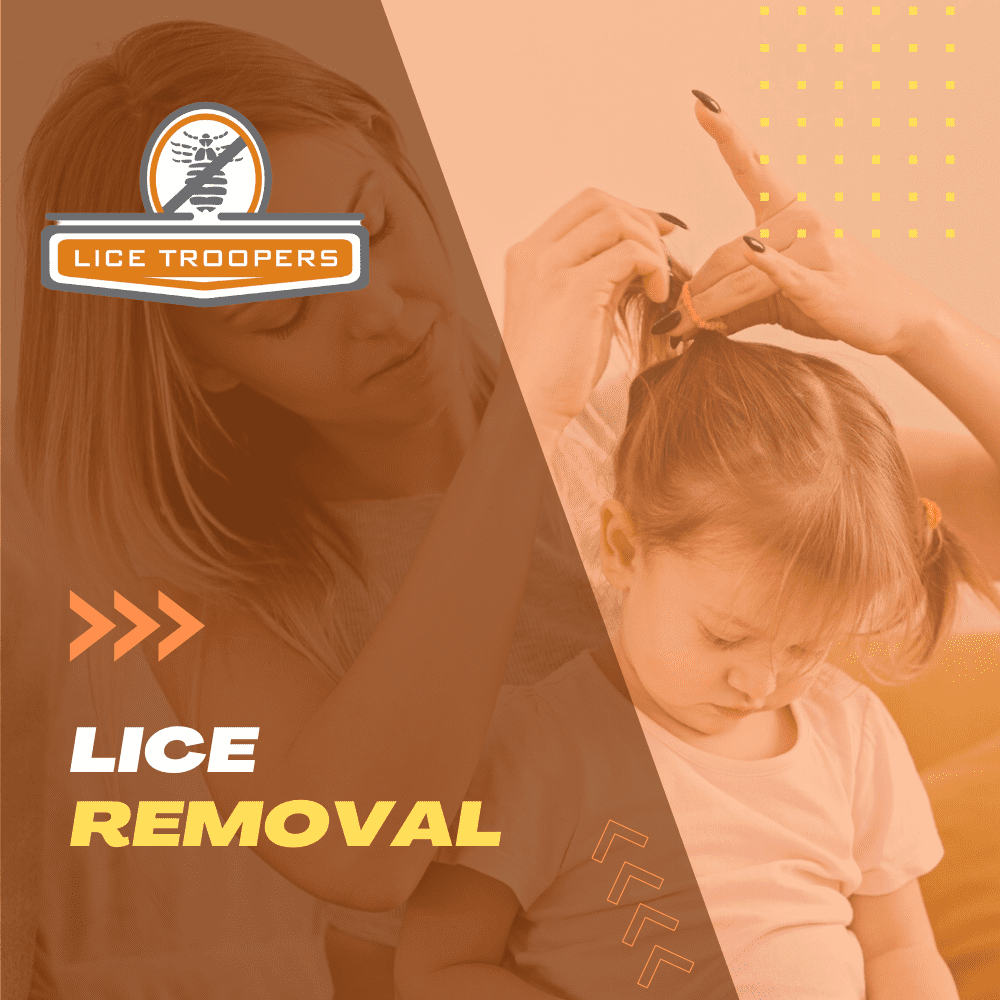 Home Inspection and Cleaning After a Head Lice Infestation