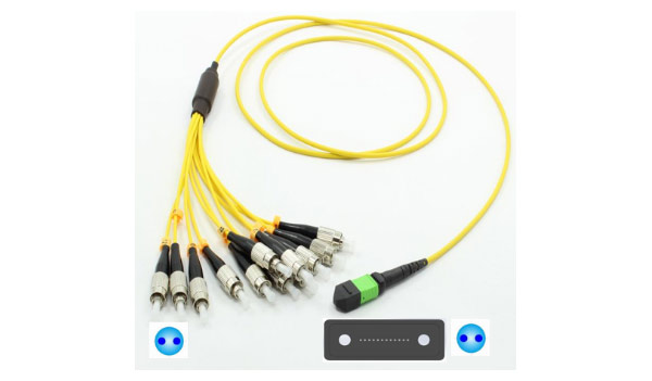 PM MPO Jumper Fiber Optic