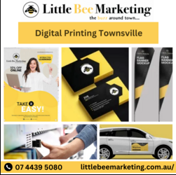 Best Print & Signage Solutions | Little Bee Marketing