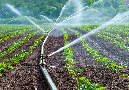 Superabsorbent for Agriculture