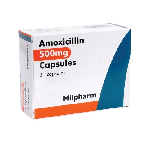 Amoxicillin 500 mg Capsule