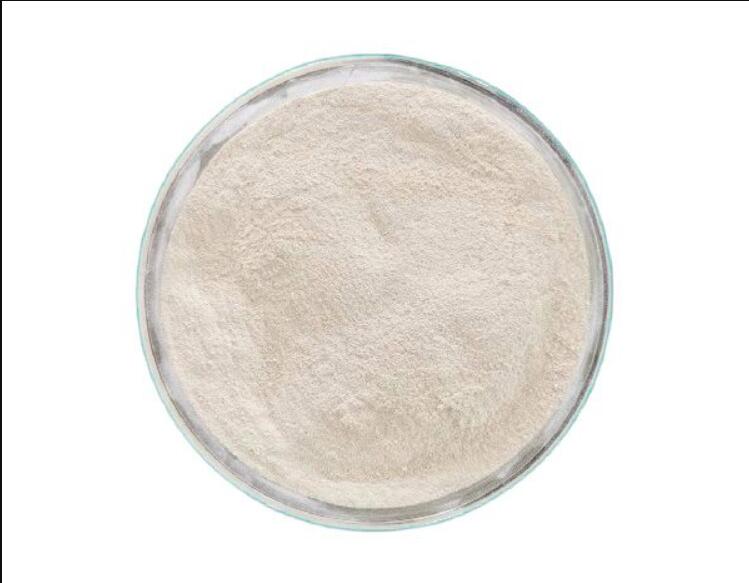 Dicalcium Phosphate