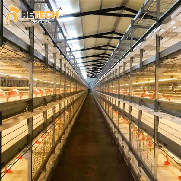 Modern design broiler poultry farm equipment battery cage for 20000 chickens