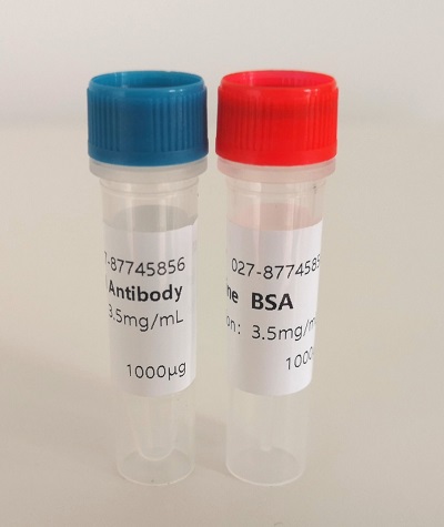 α-Amanitin Monclonal Antibody 