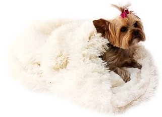 Most Popular Luxury Designer Dog Beds