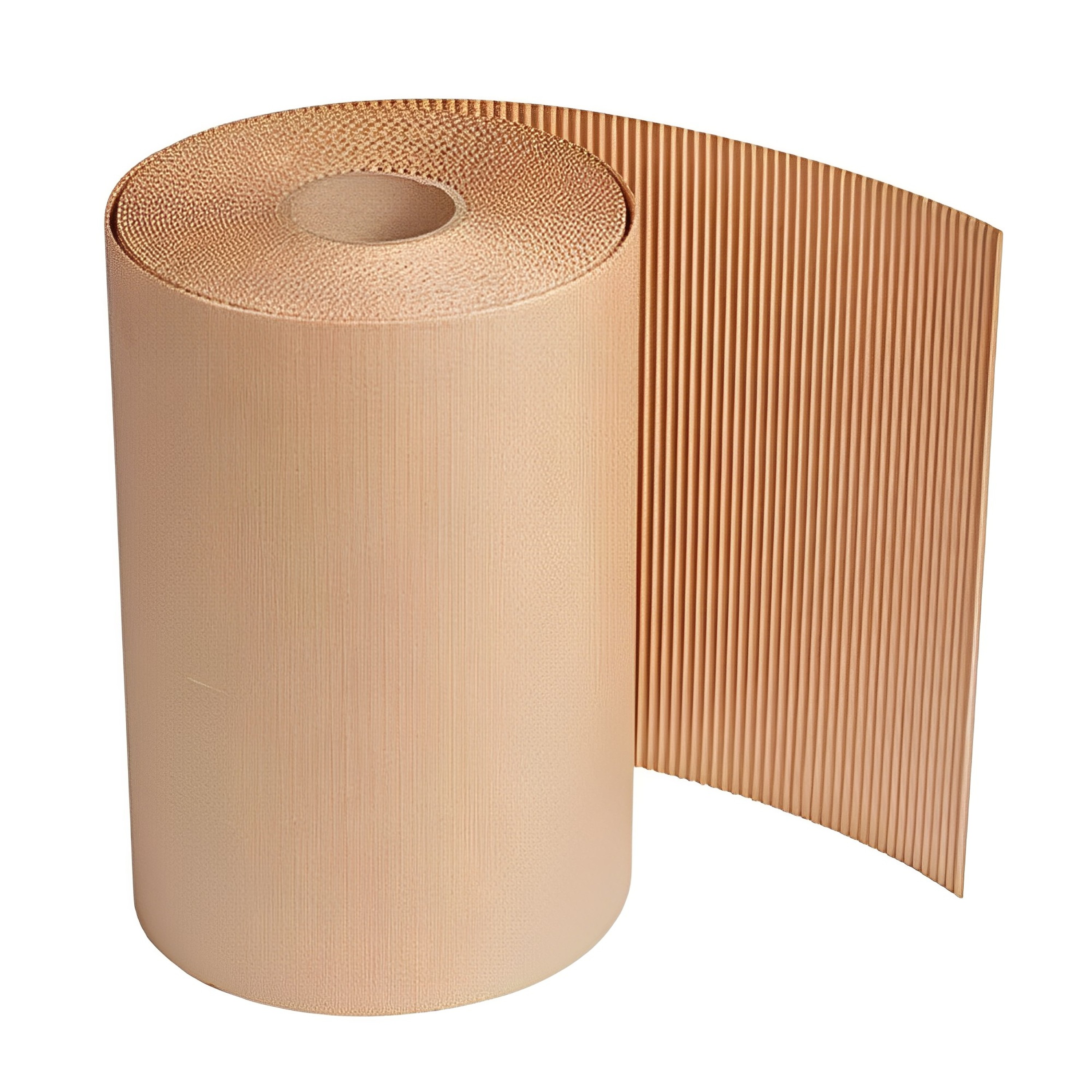 2ply Paper Roll
