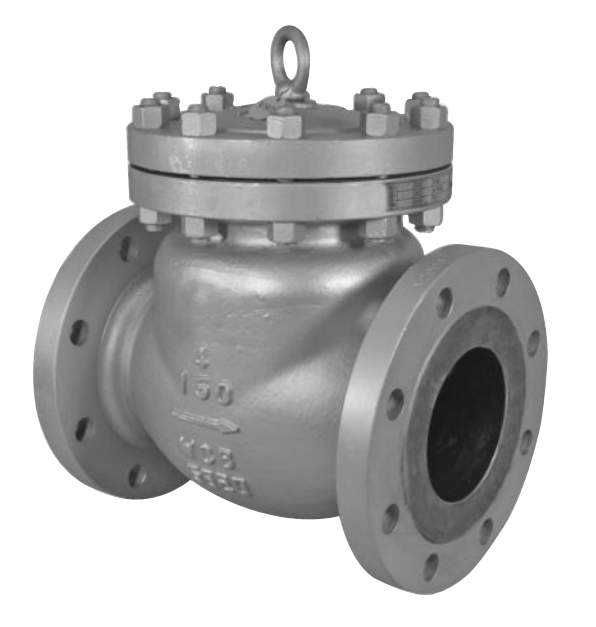 Check valve Manufacturer