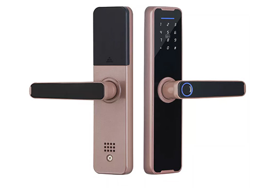 Automatic Fingerprint Door Lock