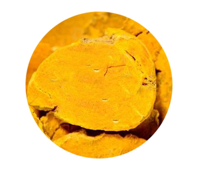 wholesale curcumin