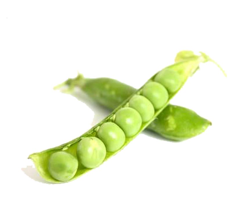 pea protein price