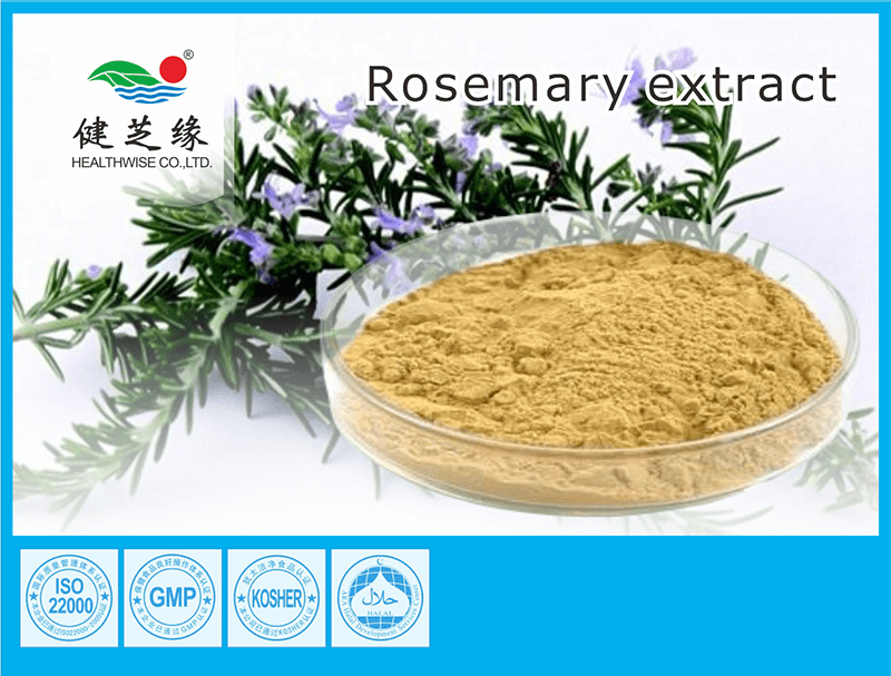 NATURAL HERBAL EXTRACT WHOLESALE POWDER