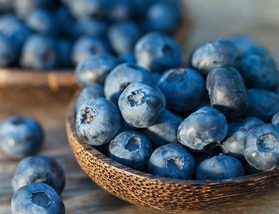 Organic Blueberry Juice Powder