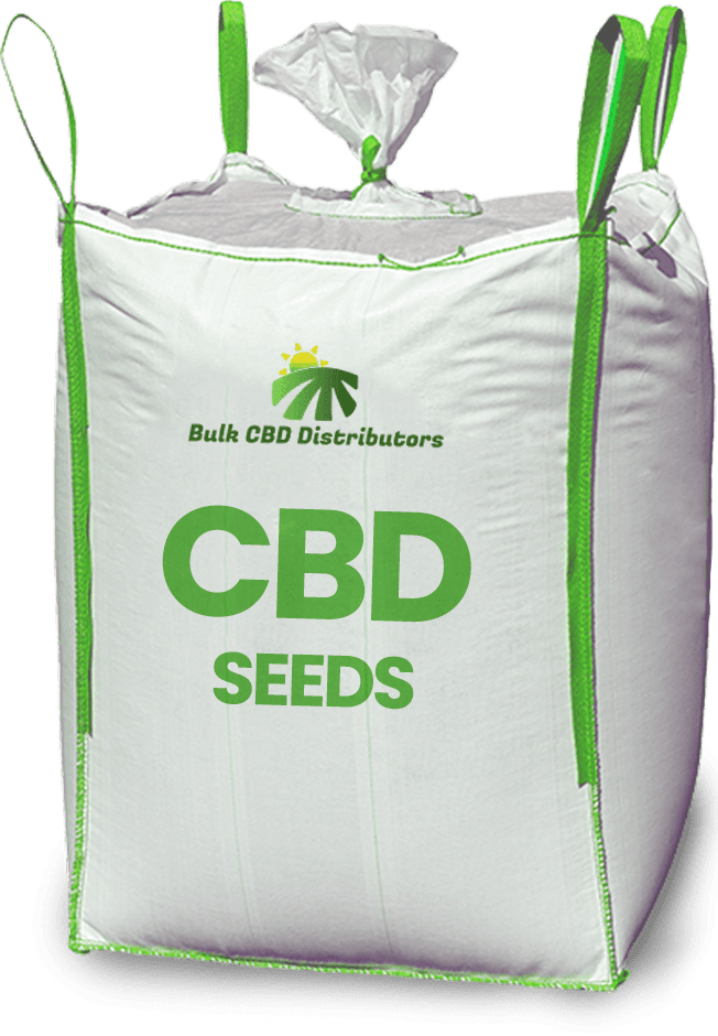 CBD Seeds