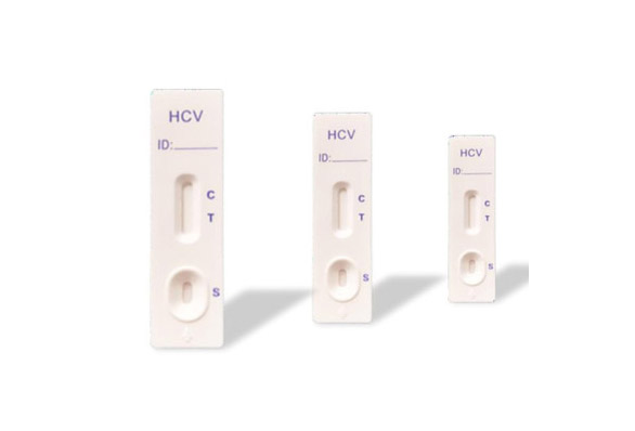 Purified cTnI Protein