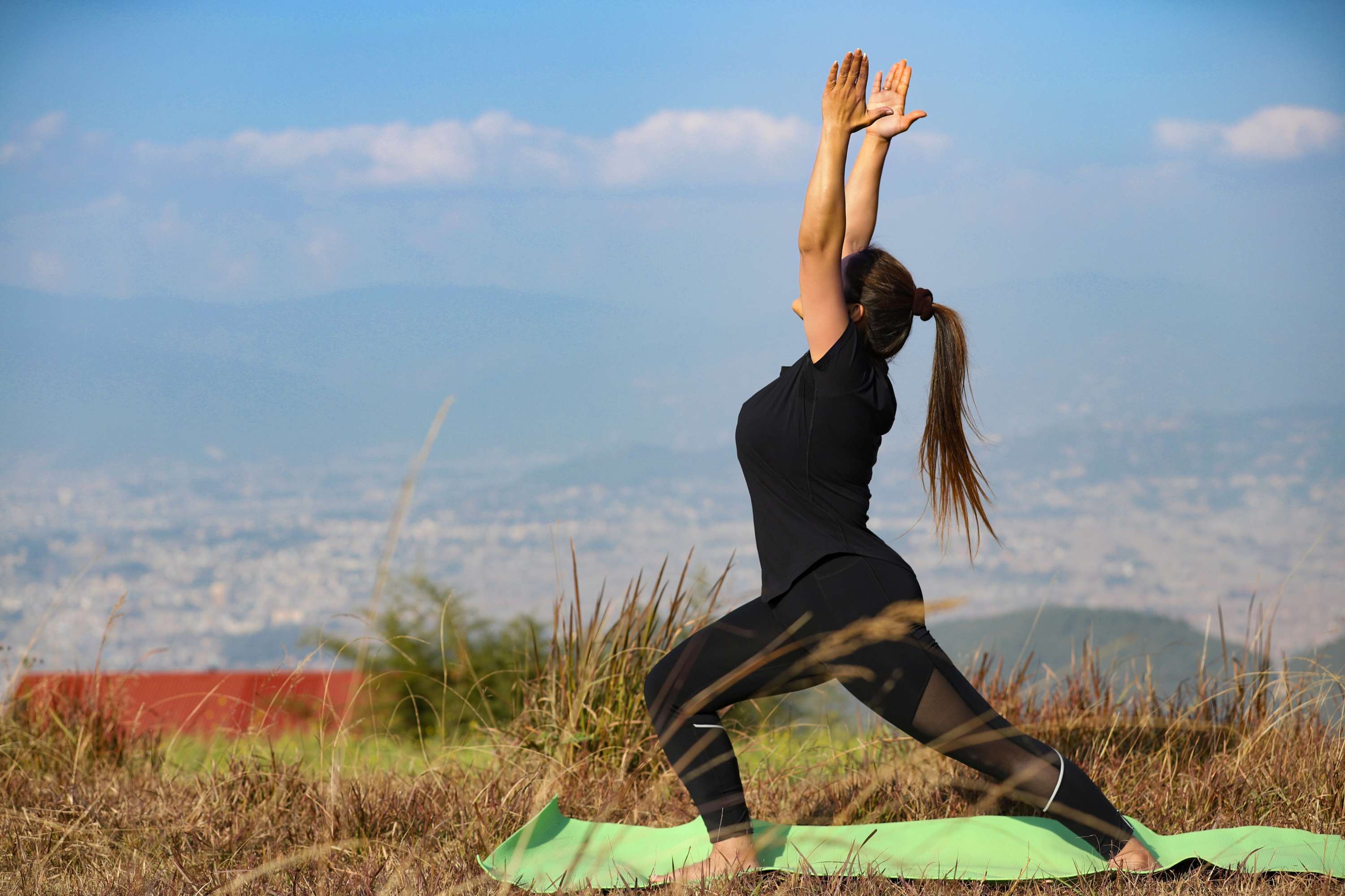 Shërbimet Wellness