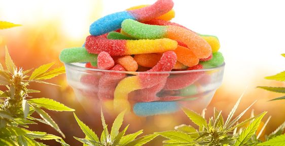 Farmers Garden CBD Gummies Reviews (Beware) Framers Garden CBD Gummies |Must Read Before Buying