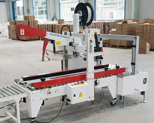 LINED CARTON PACKING MACHINE