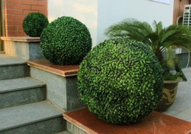 Topiary