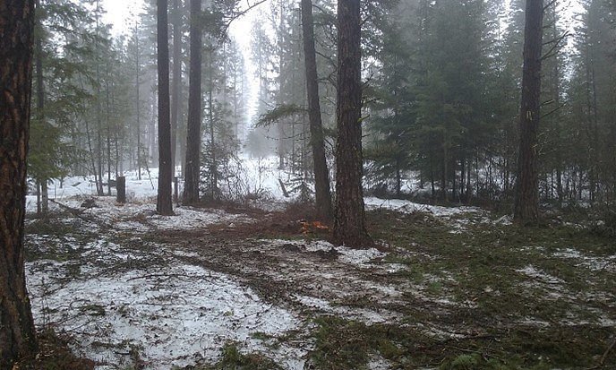 Skogsmaskiner och utrustning för skogsbruket