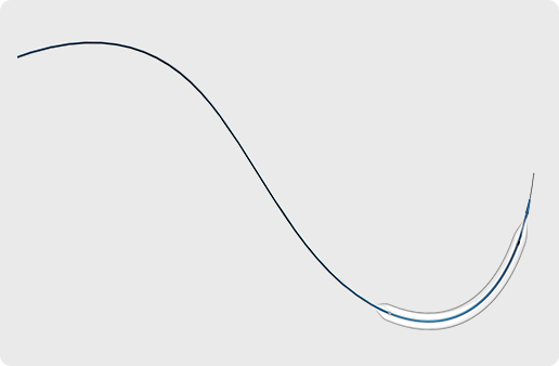 PTA Balloon Catheter