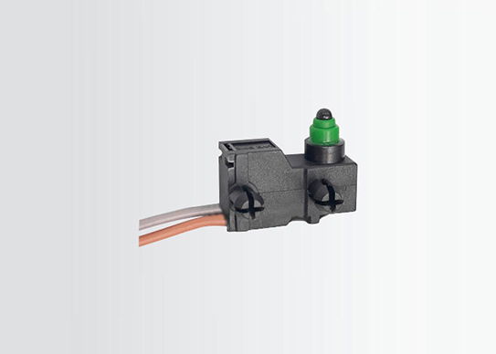 Mini Waterproof 24 Volt Micro Switch G305