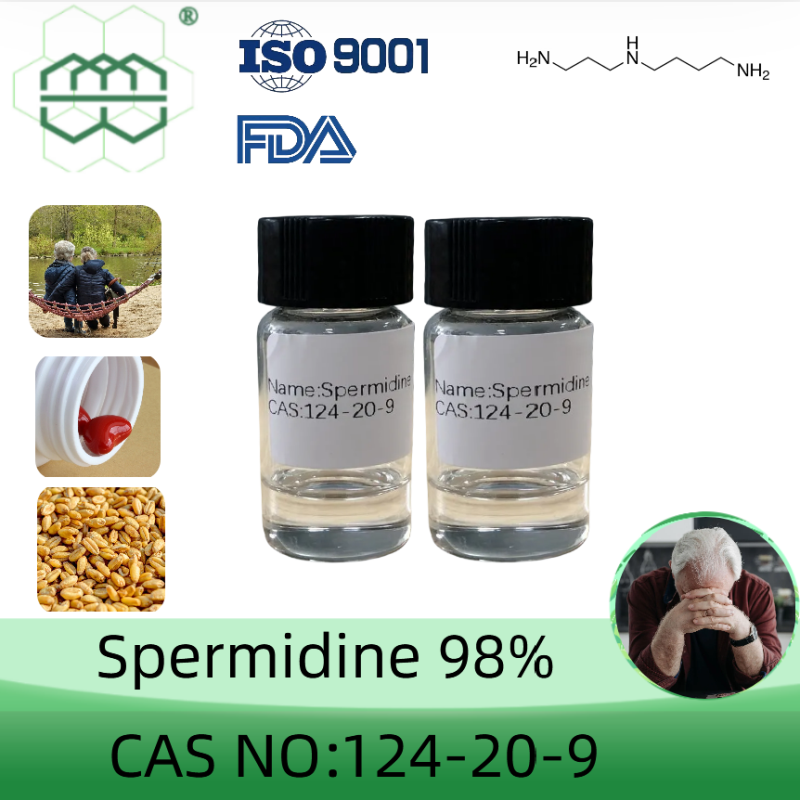 Spermidine CAS No.: 124-20-9-0 98.0% purity min. anti-aging