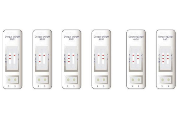 Rapid Diagnostic Test for Dengue