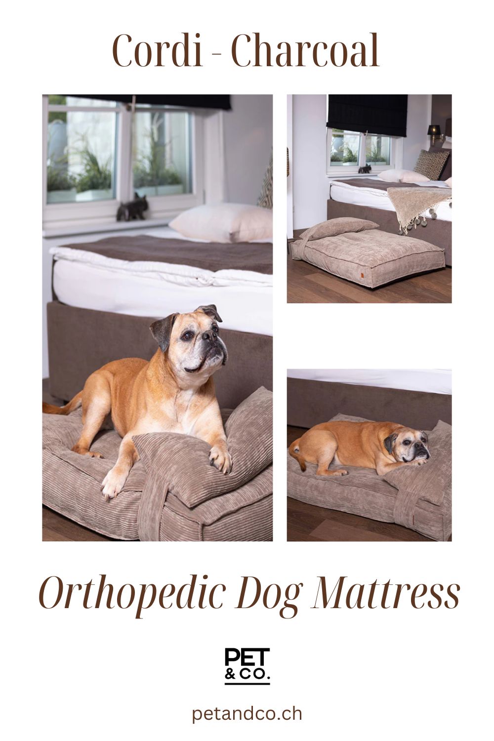 Cordi - Orthopedic Dog Mattress Online