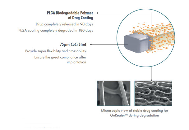 GuReater®CoCr Stent Sirolimus-eluting Coronary Stent System