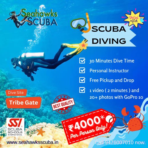 Scuba diving light package