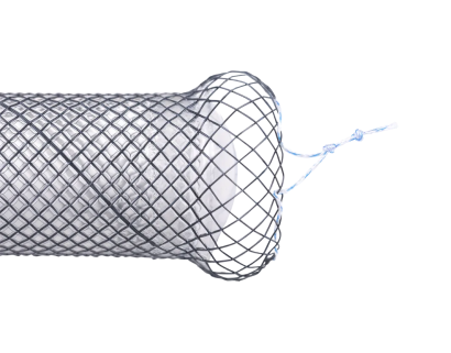 Anti-Reflux Esophageal Stents