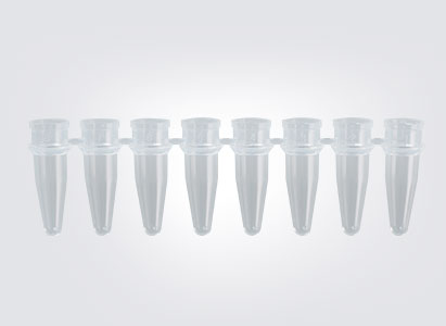 8 Strip PCR Tube