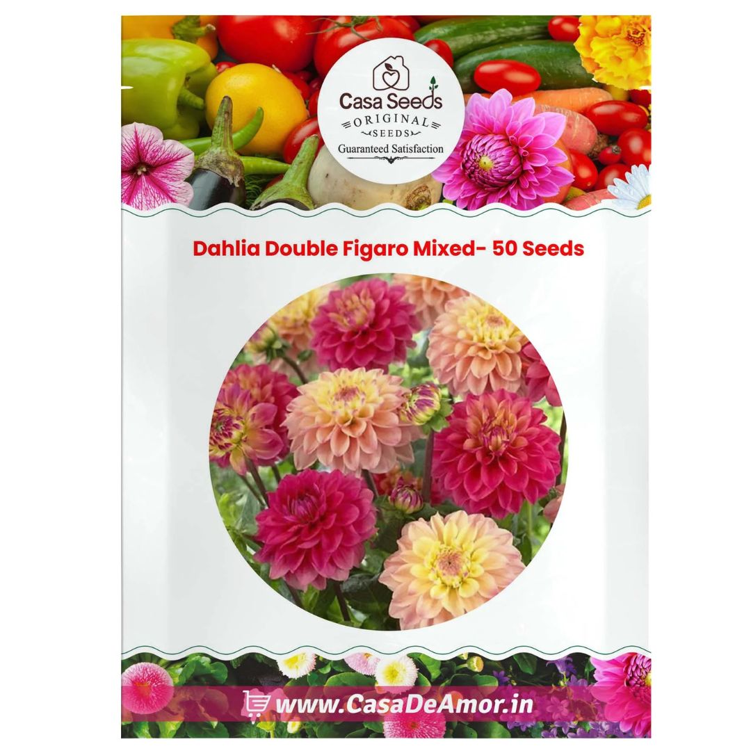  Buy Flowers Seeds Online | Casa de amor	