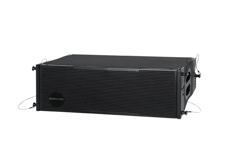 Dual 12-inch Line Array Series Speaker