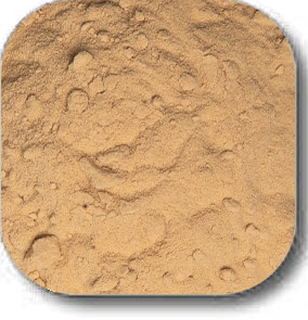 Best balsamic vinegar powder