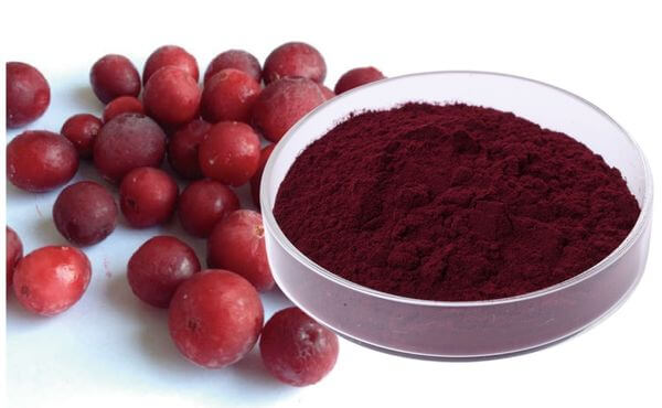 Cranberry Extract