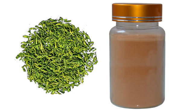 Green Tea Extract