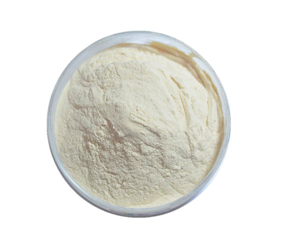 Collagen Tri-peptide