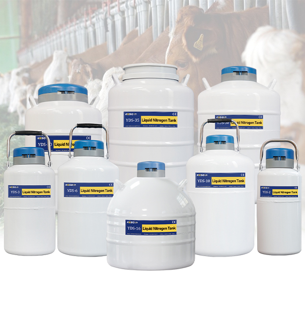 Palau-liquid nitrogen semen tanks KGSQ-cryogenic container