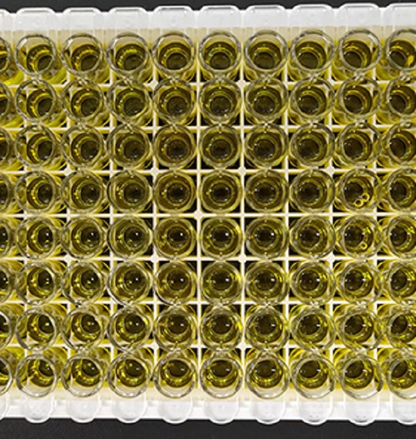 Human Collagen, Type I, Alpha 1 ELISA kit