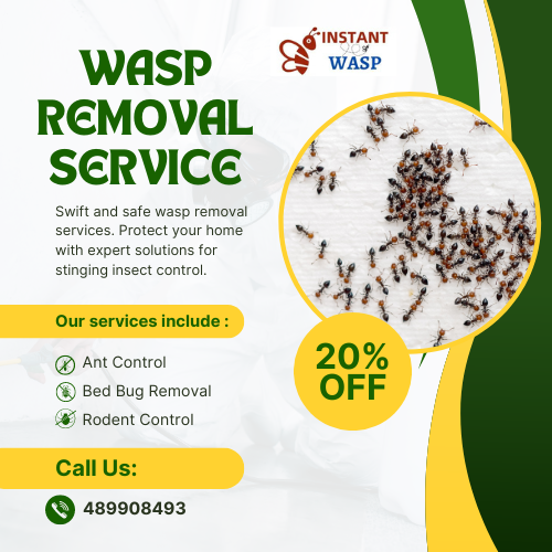 Wasp Removal Noble Park