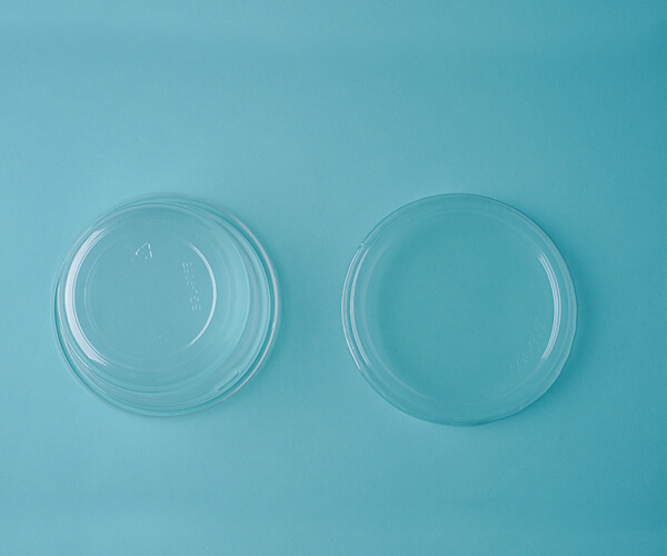 Free Sample 4 Disposable Plastic Transparent Round Cake Container