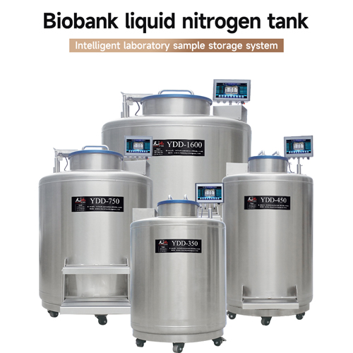 Morocco-liquid n2 storage tank KGSQ-liquid nitrogen cell storage container