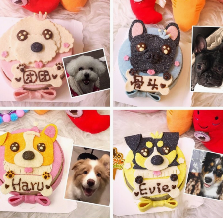 Pet bakery for dog cake and cat cake