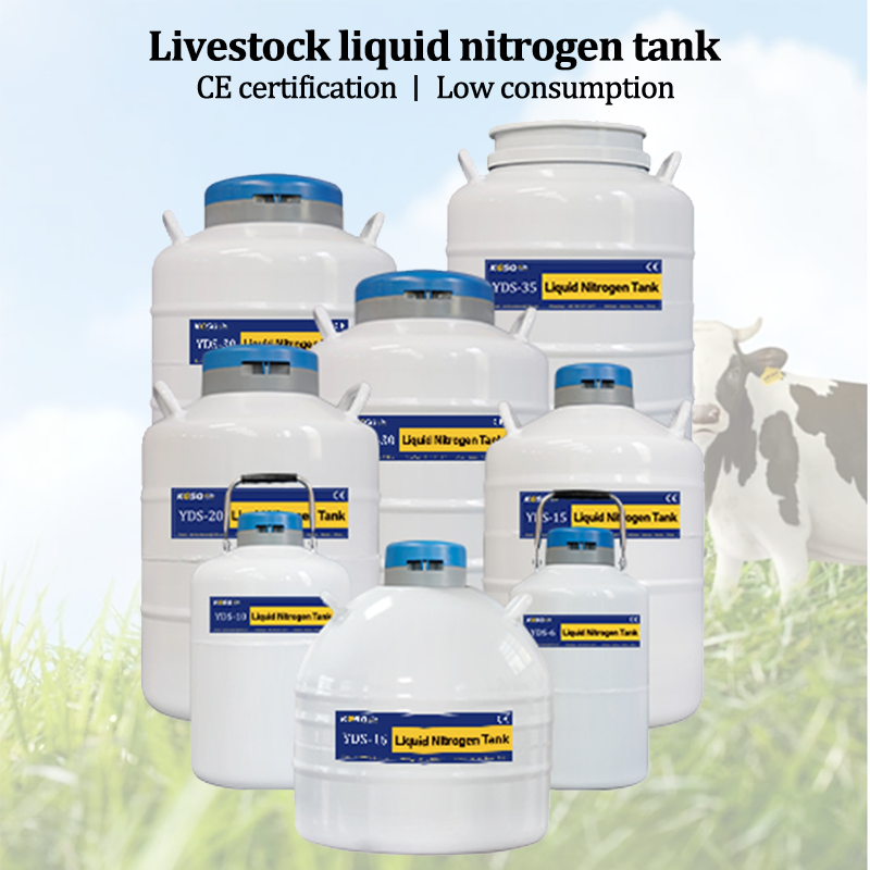 Singapore-liquid nitrogen dewar semen tank KGSQ-20L semen storage tank 