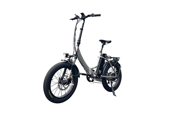 Folding Electric Bike