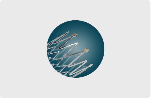 Peripheral Stent System