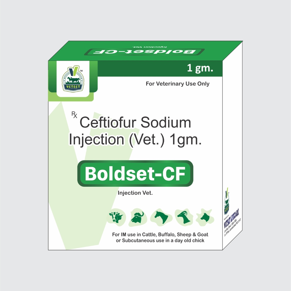 Ceftiofur Sodium 1 GM