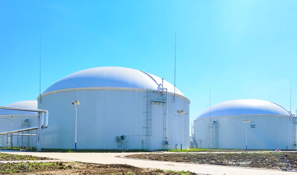 Cow Manure Biogas Plant