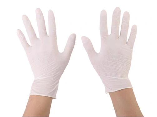 Latex Surgical Gloves 